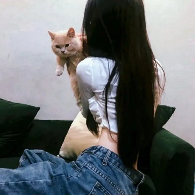 恶犬之下